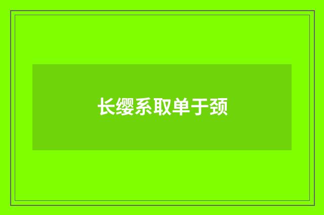 长缨系取单于颈