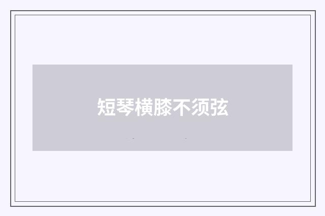 短琴横膝不须弦