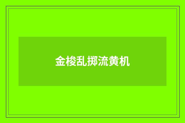 金梭乱掷流黄机