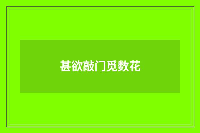 甚欲敲门觅数花