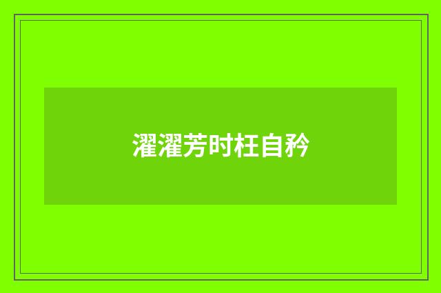 濯濯芳时枉自矜