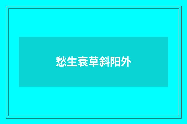 愁生衰草斜阳外