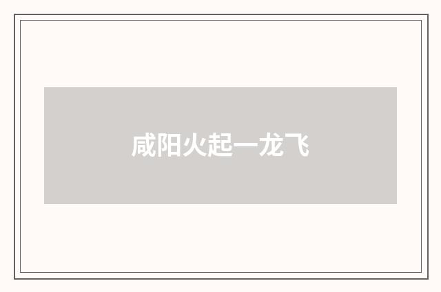 咸阳火起一龙飞