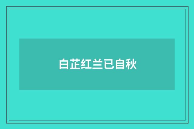 白芷红兰已自秋