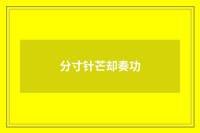 分寸针芒却奏功