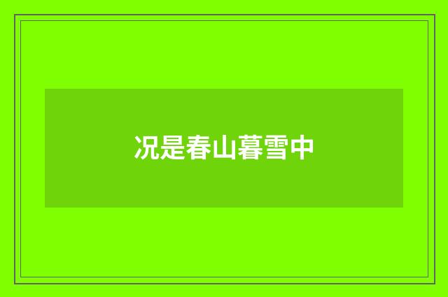 况是春山暮雪中