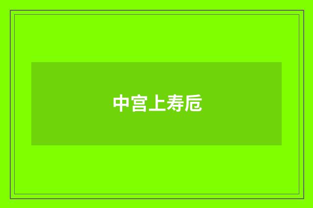 中宫上寿卮