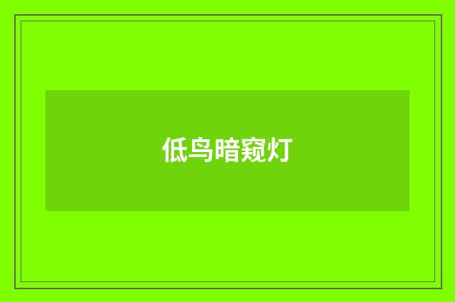 低鸟暗窥灯