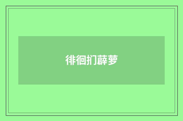 徘徊扪薜萝