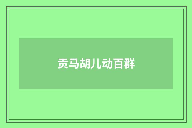 贡马胡儿动百群