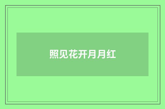 照见花开月月红