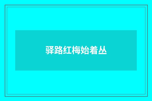 驿路红梅始着丛