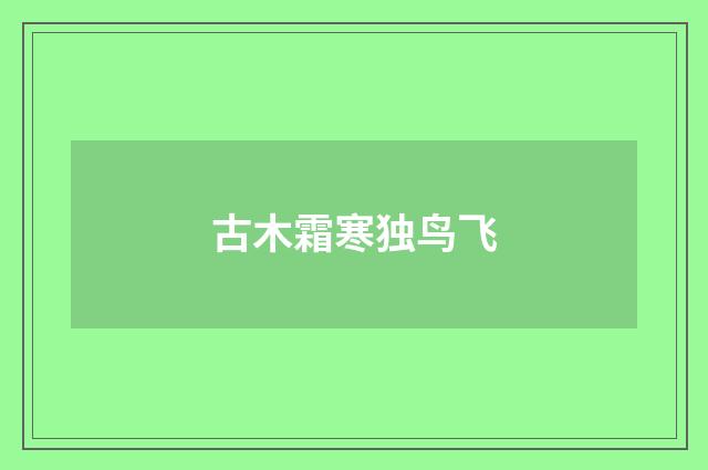 古木霜寒独鸟飞