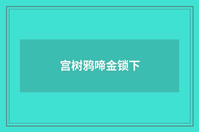 宫树鸦啼金锁下