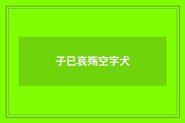 子已哀殇空字犬