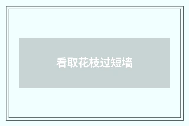 看取花枝过短墙