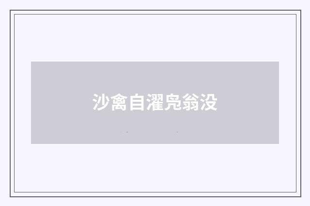 沙禽自濯凫翁没