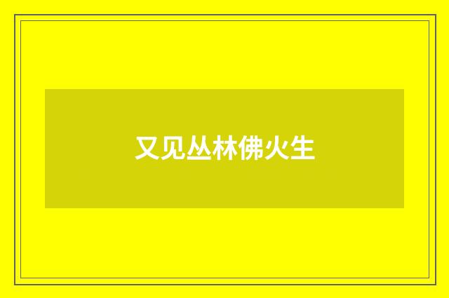 又见丛林佛火生