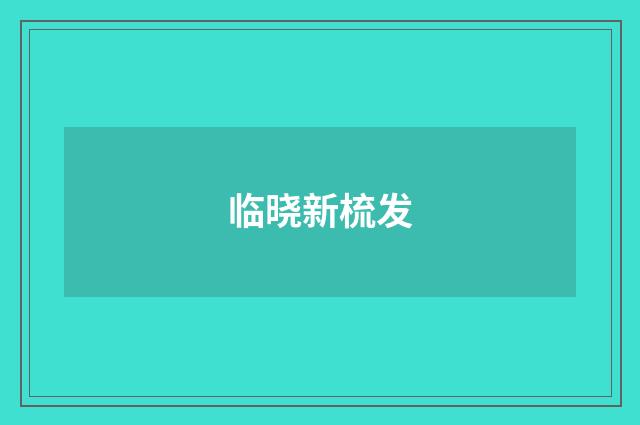 临晓新梳发
