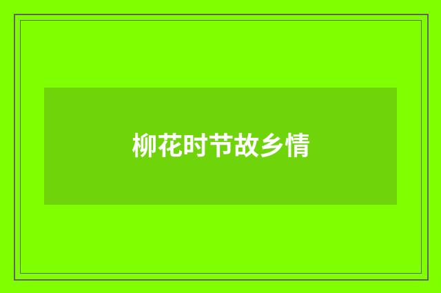 柳花时节故乡情