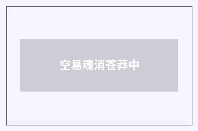 空易魂消苍莽中