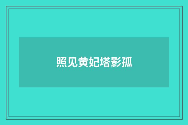 照见黄妃塔影孤