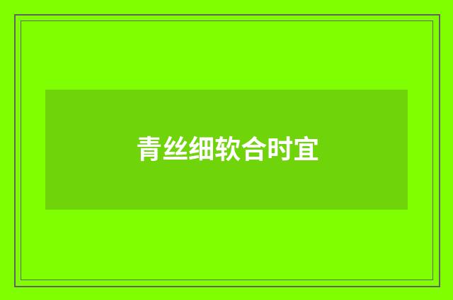 青丝细软合时宜