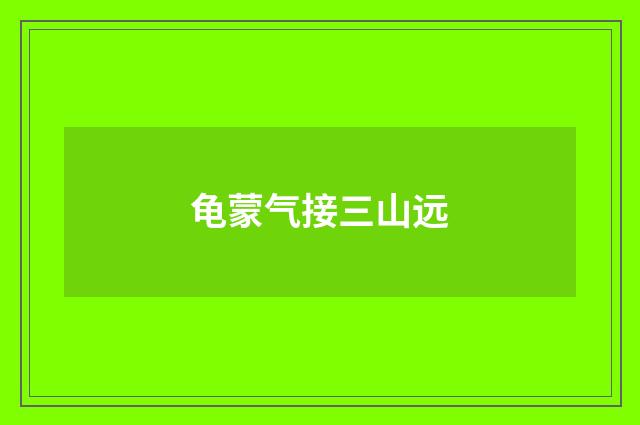 龟蒙气接三山远