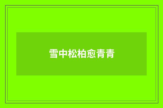 雪中松柏愈青青