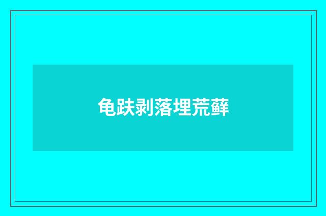 龟趺剥落埋荒藓