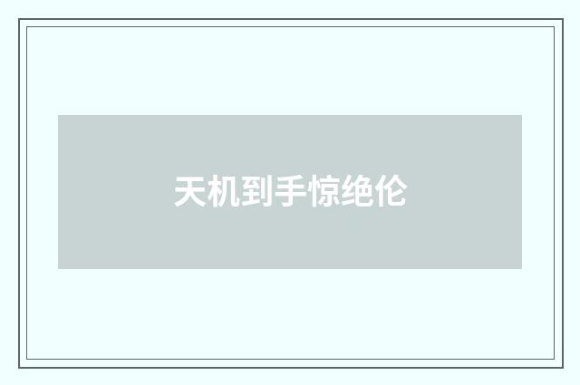 天机到手惊绝伦