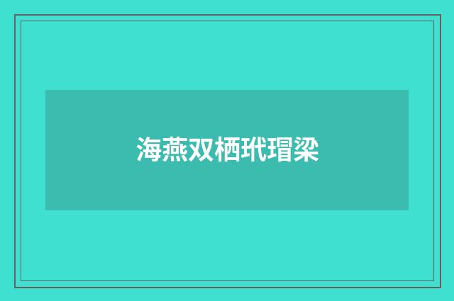 海燕双栖玳瑁梁