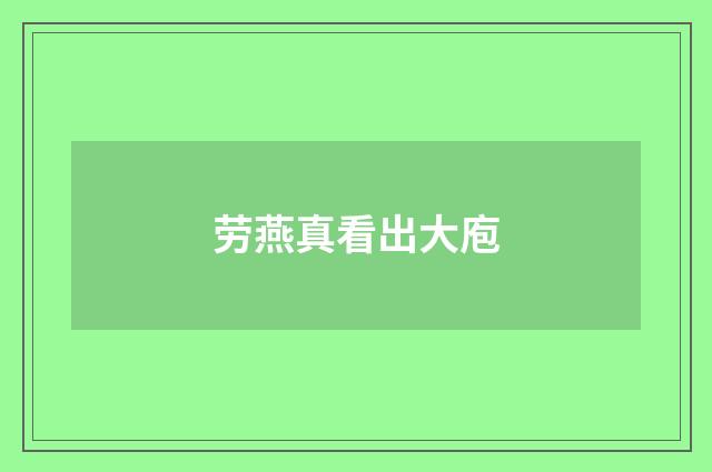 劳燕真看出大庖