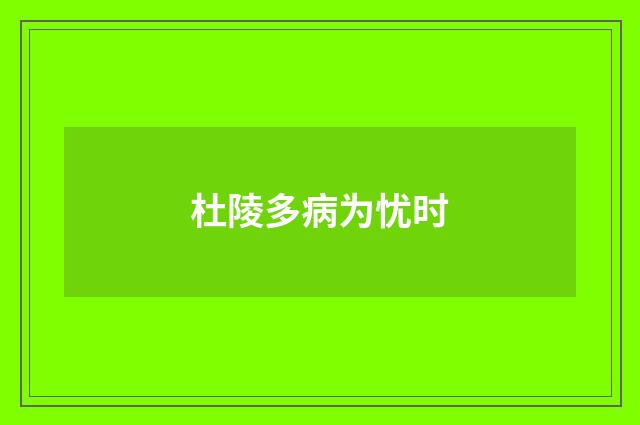 杜陵多病为忧时