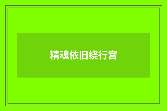精魂依旧绕行宫