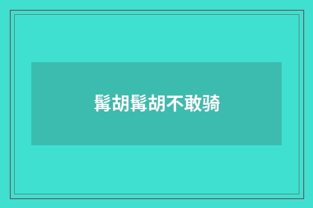 髯胡髯胡不敢骑