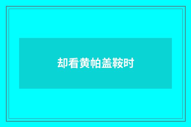 却看黄帕盖鞍时