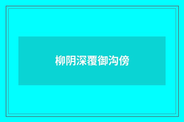 柳阴深覆御沟傍