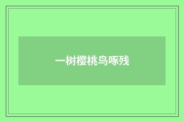 一树樱桃鸟啄残
