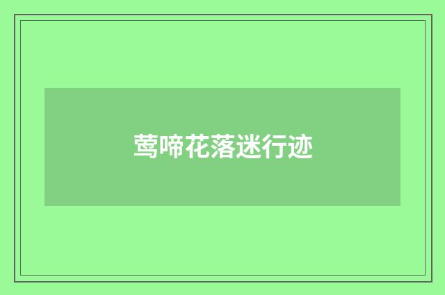 莺啼花落迷行迹