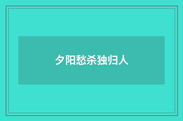 夕阳愁杀独归人