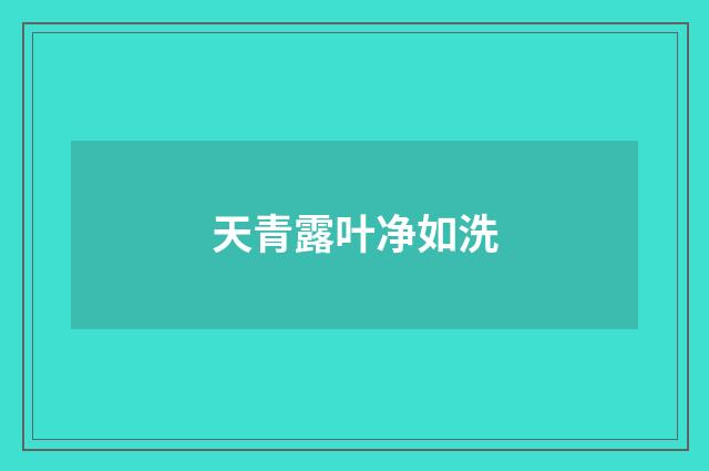 天青露叶净如洗