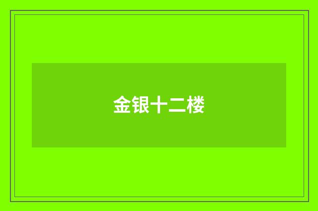 金银十二楼