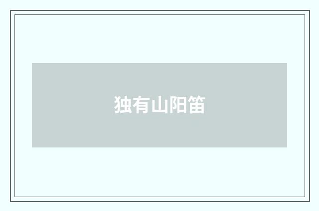独有山阳笛