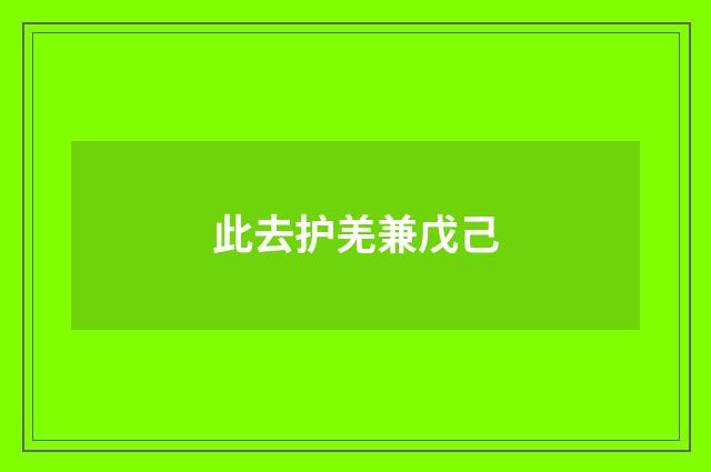 此去护羌兼戊己