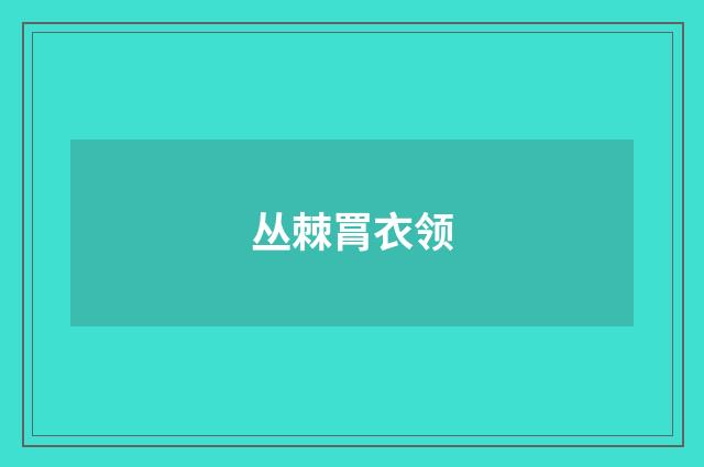 丛棘罥衣领