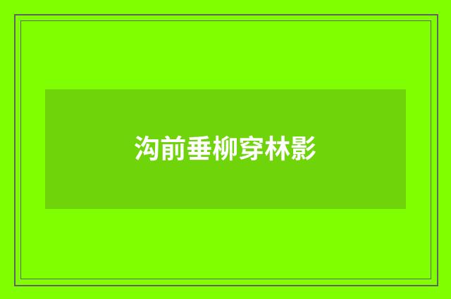 沟前垂柳穿林影