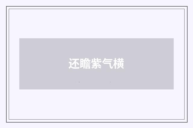 还瞻紫气横