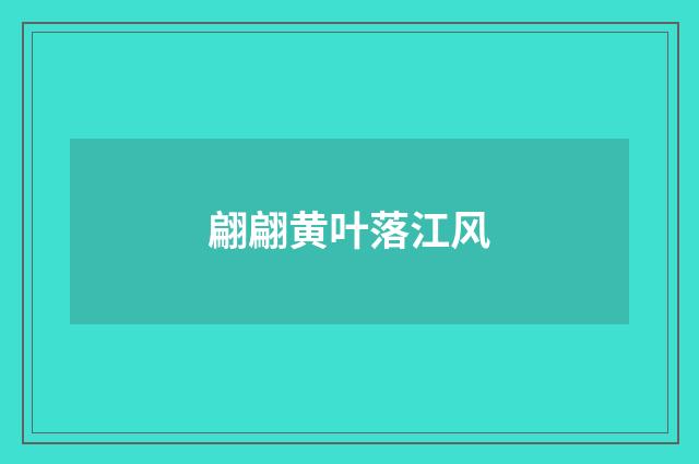 翩翩黄叶落江风