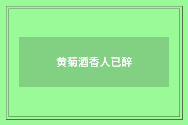 黄菊酒香人已醉